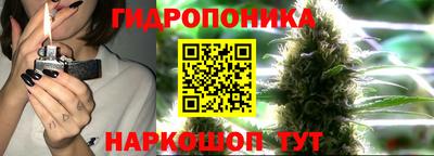 твердый Ставрополь