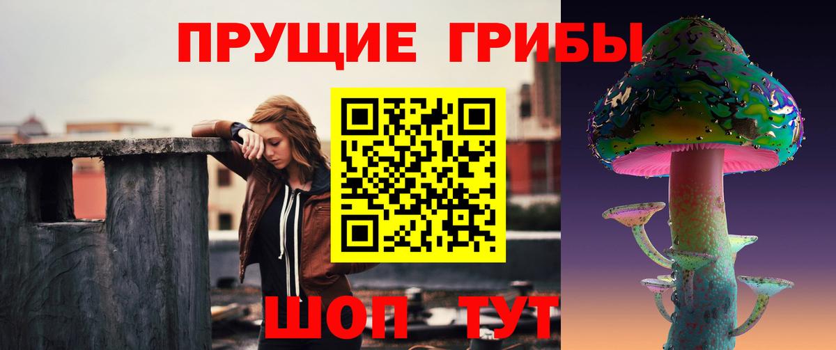 Ангарск  Псилоцибиновые грибы Psilocybine cubensis  Вход с VPN  Галлюциногенные грибы Psilocybine cubensis 